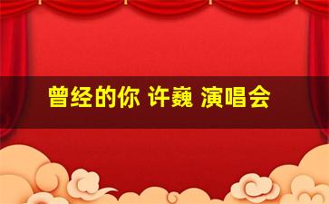 曾经的你 许巍 演唱会